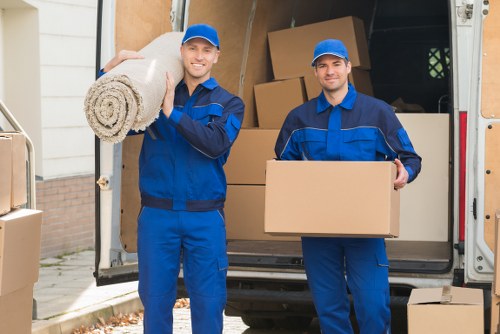 Illustration of accessible Man With Van Tottenham website content